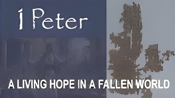 1 Peter 2:1-12 - Fulfilling our Purpose Image